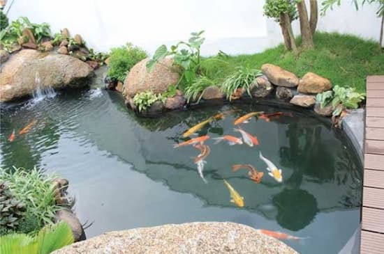Tiểu cảnh sân vườn Nhật Bản thường bao gồm hồ nuôi cá Koi